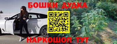 стафф Кандалакша
