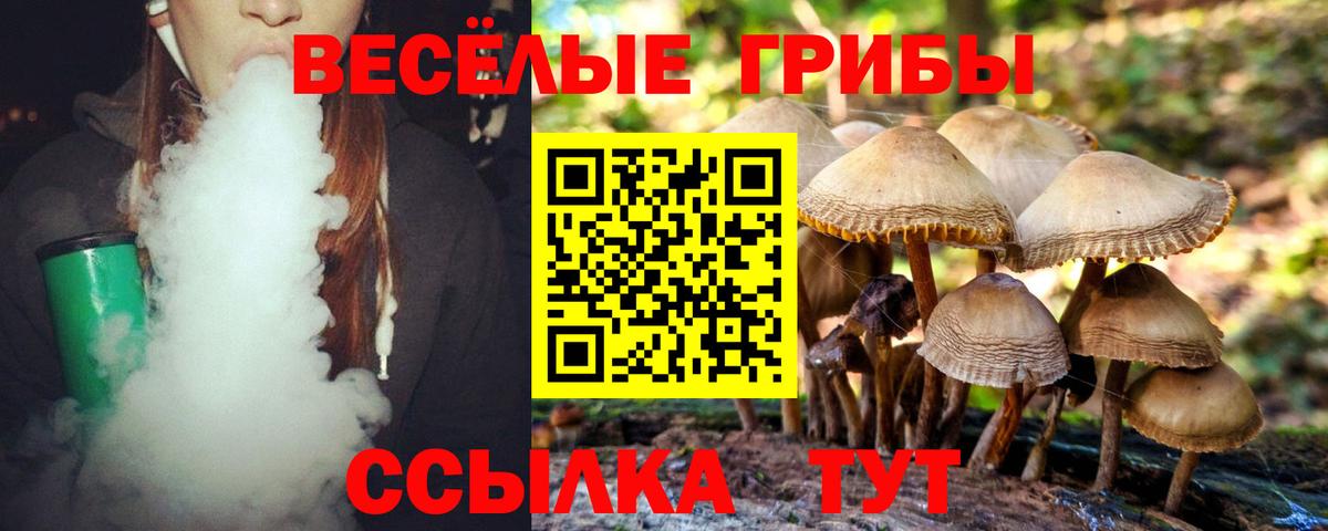 Псилоцибиновые грибы Psilocybe  Вход с VPN  Красный Сулин 